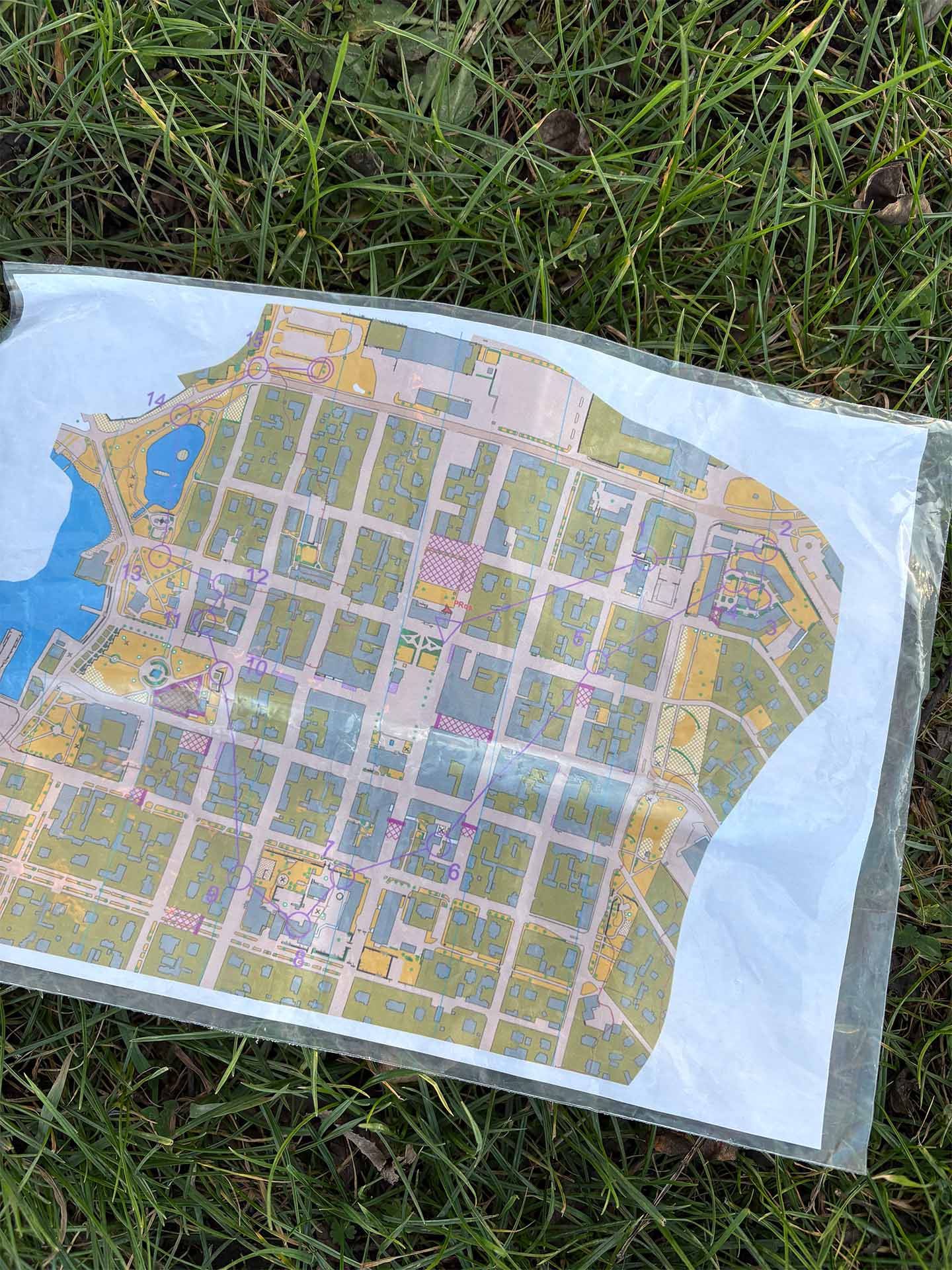 Summering 2025 - Veteran-SM på Öland